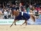 RESULTS – ROYAL HIGHLAND SHOW 2025